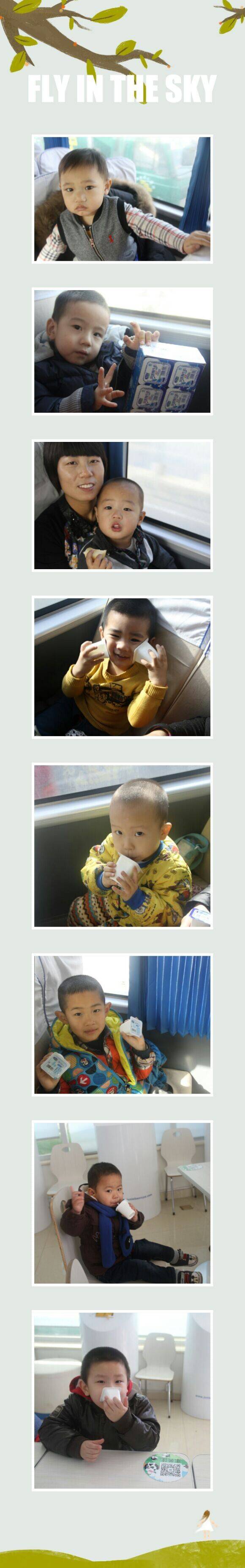 石家庄9 石家庄9